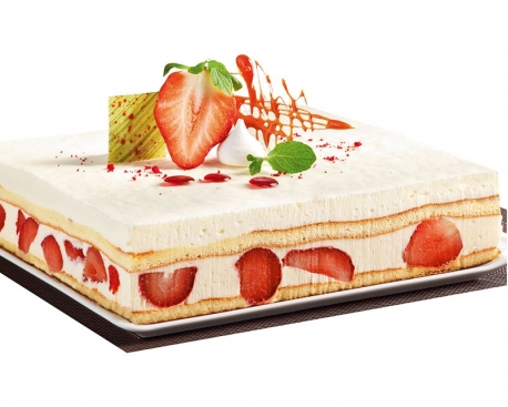 1/2 cadre fraisier 1/2 cadre fraisier