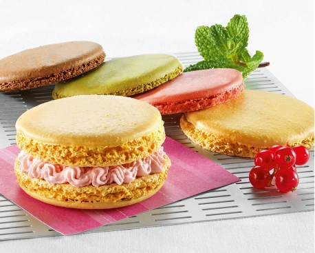 Coques de gros macarons "fabrication artisanale"