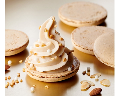 Grande Coque macaron vanille
