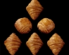 Croissant Arty "Eclat du terroir"